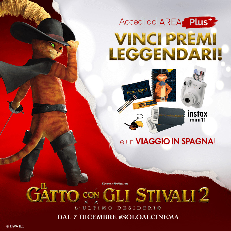 concorso gatto con gli stivali 2