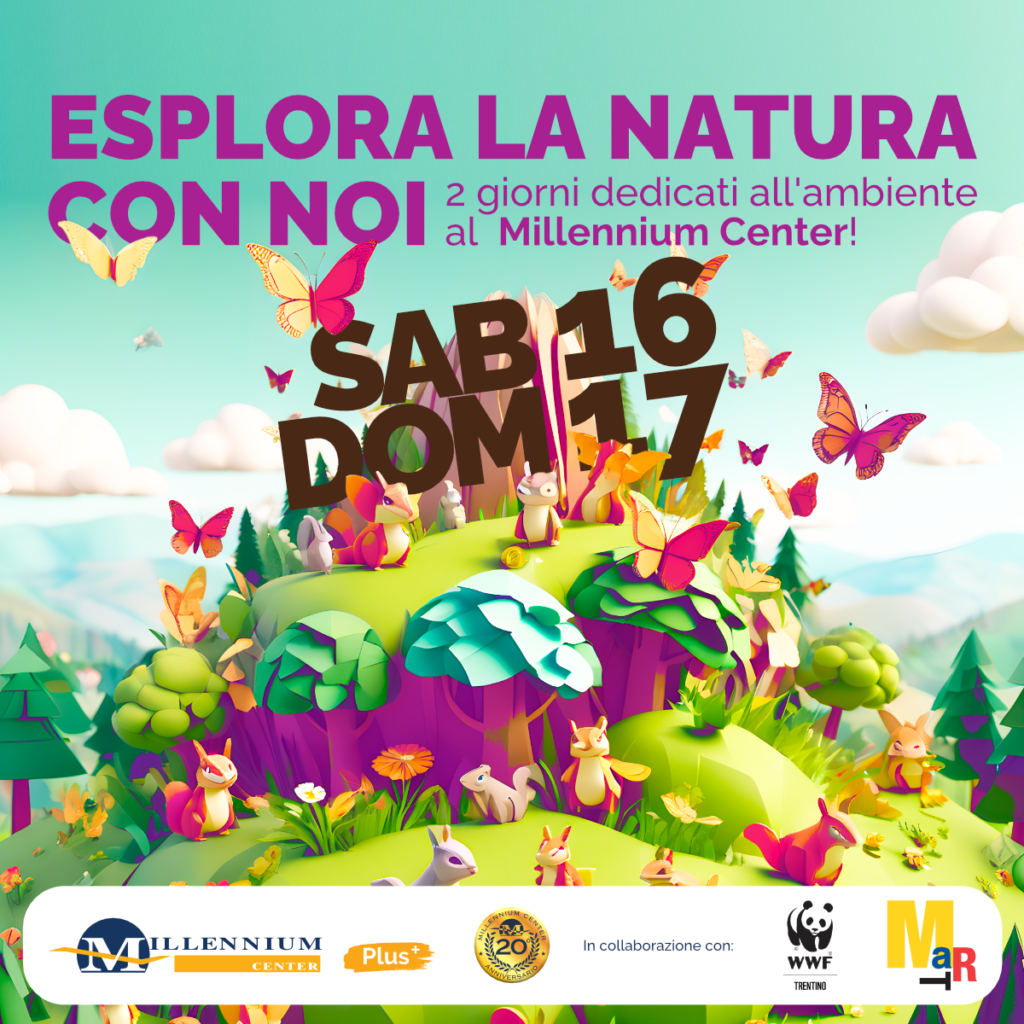 Despar Nord (@DesparNord) • Facebook, image size:1024x1024